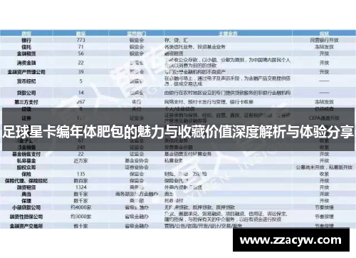 足球星卡编年体肥包的魅力与收藏价值深度解析与体验分享